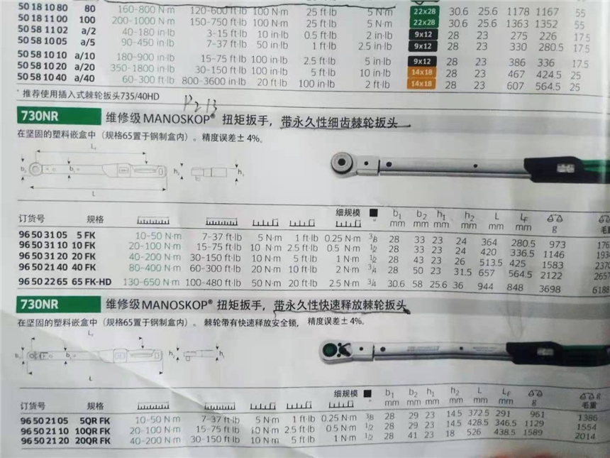 達威力 扭力扳手，（帶固定式棘輪頭）40-200Nm，96502120，730NR/20QR FK